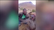 Une récompense à celui qui identifiera ce 'chasseur' horrible se filmant en train de rire de la souffrance d'un babouin