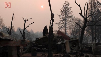 Report: GOP County Chairman's Social Media Post Calls California Wildfires ‘God’s Punishment' for Liberals