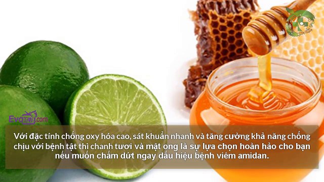 5. Evativi - Bài thuốc dân gian: Chữa viêm Amidan bằng các bài thuốc dân gian dễ làm phần 1