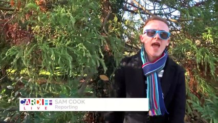 Holly Willoughby's I'm A Celeb Presenting!