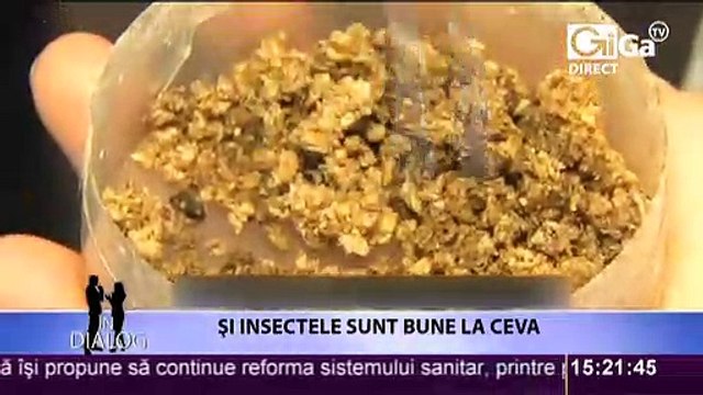 Marinela Cojocaru Romanian Voiceover Artist