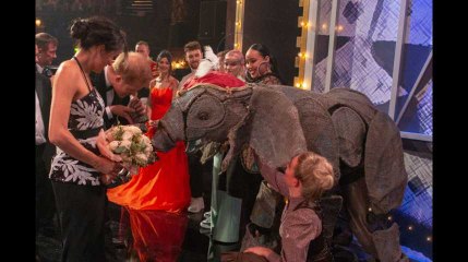 Le prince Harry embrasse la trompe d'un éléphant, faisant éclater de rire l'assemblée et Meghan