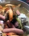 Cuisine : crabes et saucisses dans le même plat ? Immonde !