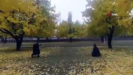 Iğdır'ın Kayısı Bahçeleri Sonbaharda Havadan Böyle Görüntülendi