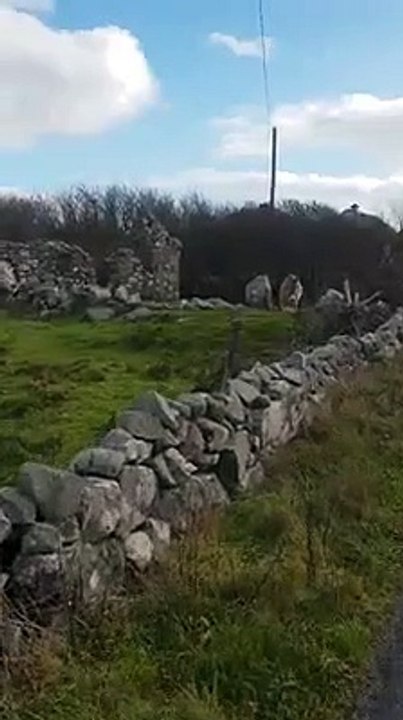 Mula com 'voz de ouro' canta para o homem que sempre lhe traz presentes
