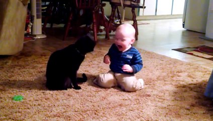 Baby And Cat Funny Fails Compilation - Funny Baby And Pets Video