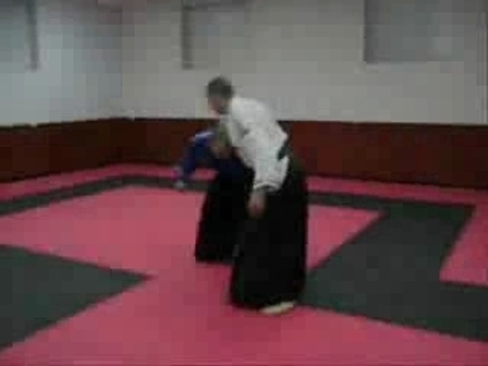 AIKIDO REAL AIKIDO - REALNI AIKIDO - VLADIMIR DJORDJEVIC