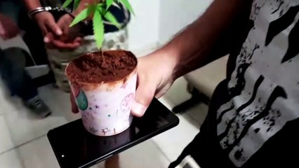 Homem é detido pelo crime de tráfico de drogas