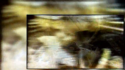 The Wonder Years S06E15