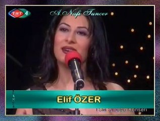 Elif ÖZER - Hicrân Hastasıyım Yapayalnızım