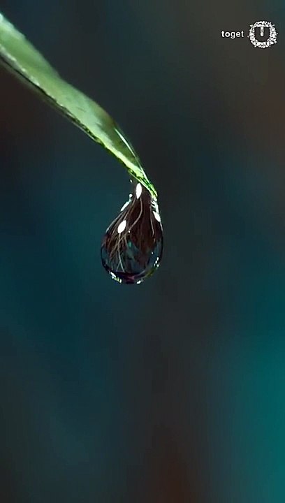 beautiful nature water