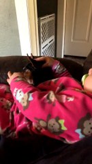 Lola the dog is not too happy with her sister video!