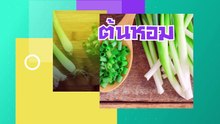 12 ผักสวนครัวอายุสั้น แต่สร้างรายได้เพียบ