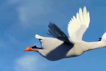 인터넷릴게임, 오션파라다이스 ♆♆ V F V 7,C0M ♆♆ 검증릴게임사이트