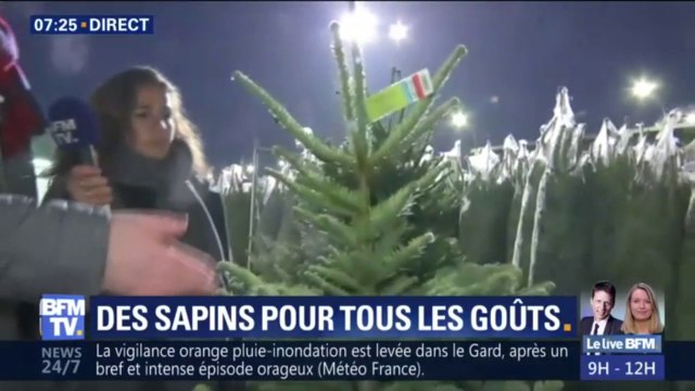 Avec la sécheresse cette année, mieux vaut retarder de quelques jours l'achat de son sapin de Noël