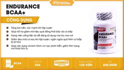 Giới thiệu viên uống Hammer Nutrition Endurance BCAA+ | iFitness.vn