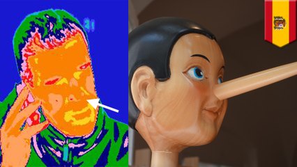 嘘をつくと鼻が...縮む!スペインの研究チームが発表 - トモニュース