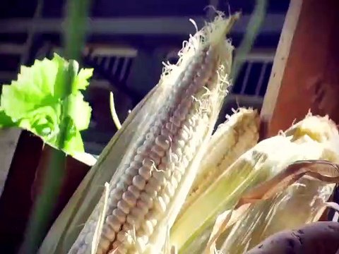 Feast With Me: Seared Scallops and Lardons Salad with Charles Tiu