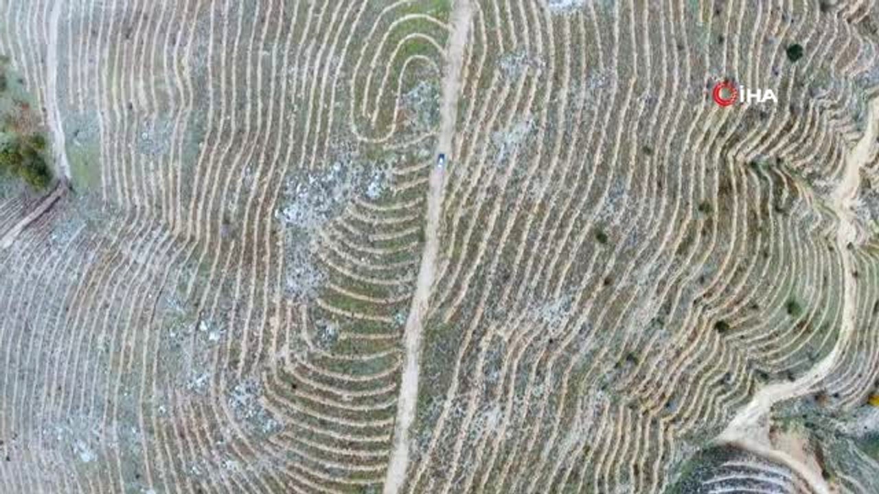 Bin 500 Metrede, 6 Bin Dekar Orman Alanını Nakış Nakış Böyle İşlediler