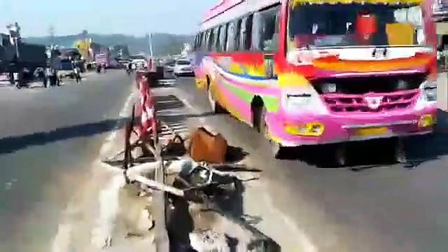 Stray animals major cause of Road Accidents on National Highway