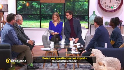 Fou rire sur le plateau de La Quotidienne sur France 5