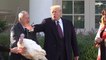 Watch: Trump grants pardons to Thanksgiving turkeys