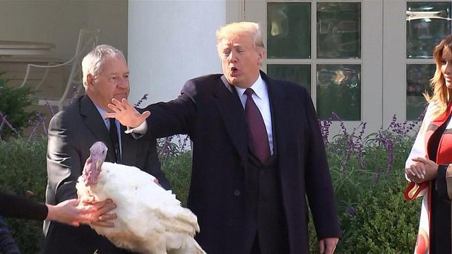 Watch: Trump grants pardons to Thanksgiving turkeys