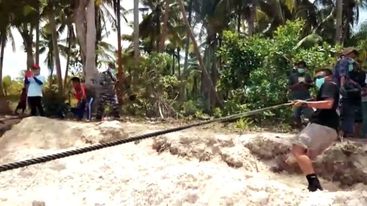 Baleia morta tinha 6kg de plástico no estômago