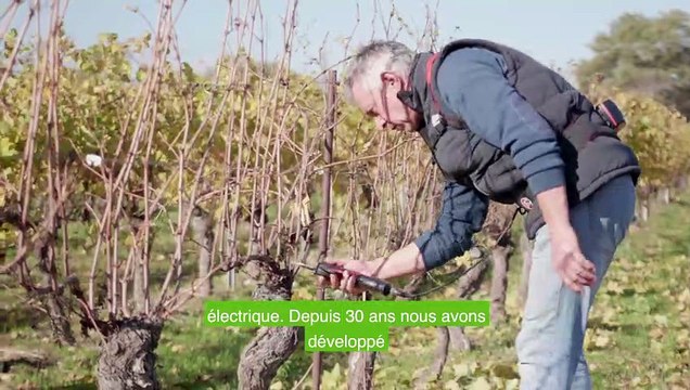 Trophées de l'innovation Vinitech-Sifel - INFACO