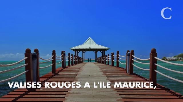 PHOTOS. Miss France 2019 : les 30 candidates sont arrivées à l'île Maurice