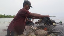 شاهد: نفوق حوت بعد العثور على 6 كيلوغرامات من مخلفات البلاستيك في إندونيسيا
