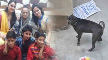 Burari Case : Bhatia Family का Pet Dog Tommy इन वजहों से उस दिन नहीं भौंका | वनइंडिया हिंदी