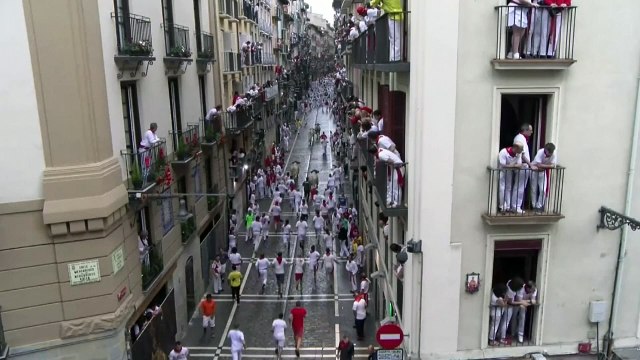 Five injured in Pamplona bull festival