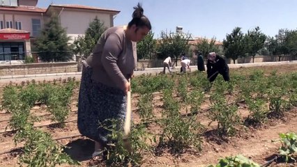 Kriz dönemlerini 'hobi bahçesi' ile atlatıyorlar - ELAZIĞ