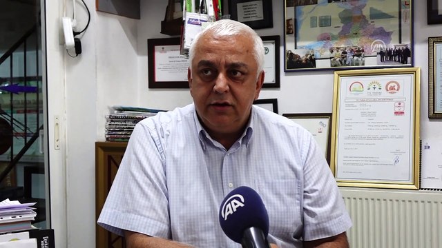 Edremit Körfezi'nde zeytin sineği tehdidi - BALIKESİR