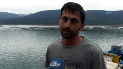 Tokat'tan Japonya'ya somon balığı ihracatı