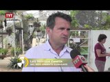 Orquidário público em Guarulhos ajuda a salvar espécies