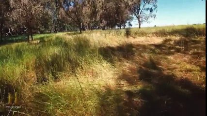 Lawless The Real Bushrangers S01  E03 Ben Hall - Part 01