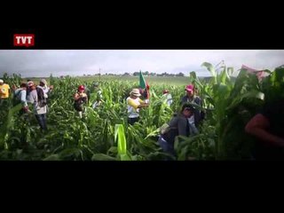 MST protesta contra possível indicação de Kátia Abreu