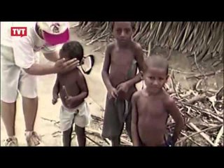 Assassinato de Dorothy Stang completa dez anos de impunidade