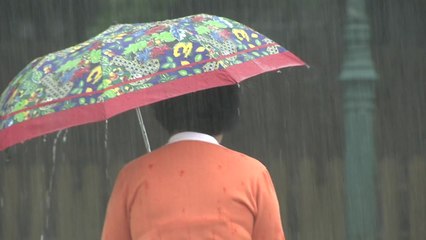 [날씨] 무더위 주춤...오전 내륙 소나기, 제주·동해안 비 / YTN