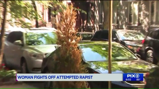 New York City Doorman Rescues Woman Being Brutally Beaten in Attempted Rape