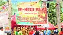 ASEAN TV: Pinya Festival