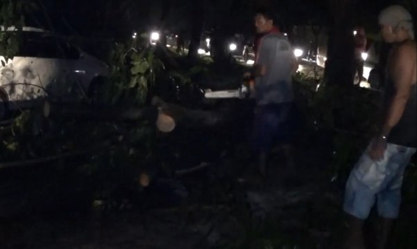 Cuaca Buruk, 20 Kendaraan Tertimpa Sejumlah Pohon Tumbang