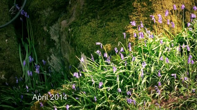 Grand Designs Series 14 4 of 10 The Shipping Containers House