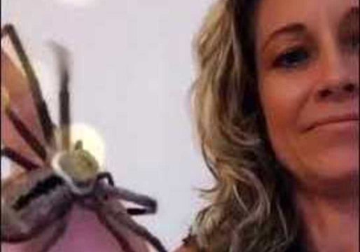 Woman Unfazed as Spider Crawls Up Her Arm
