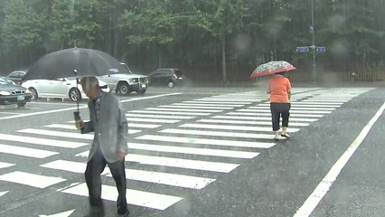 [날씨] 무더위 주춤...오전 내륙 소나기, 제주·동해안 비 / YTN