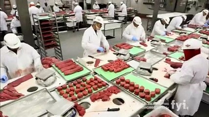 Food Factory S01 E15