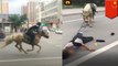 Chinese guy goes viral for falling while riding horse on street