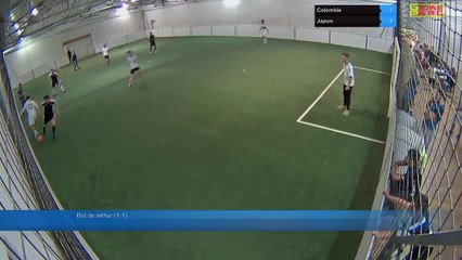 Colombie Vs Japon - 05/07/18 20:00 - CDM 2018 Poule H 05/07 - Poitiers Game Parc